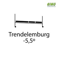 Aluguel Cama Hospitalar Motorizada 5 Movimentos ajuste altura estrado