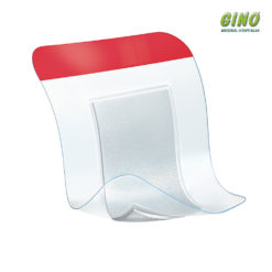 Leukomed T Plus