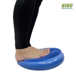 Disco De Equilíbrio Fisiopauher